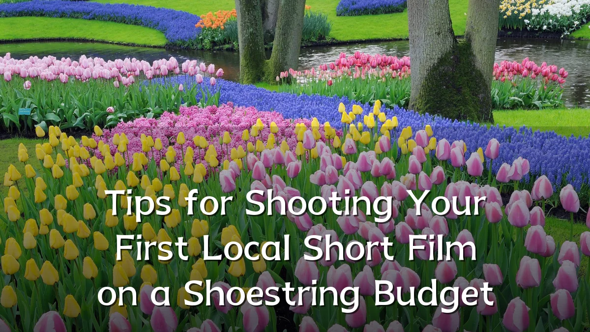 Tips for Shooting Your First Local Short Film on a Shoestring Budget