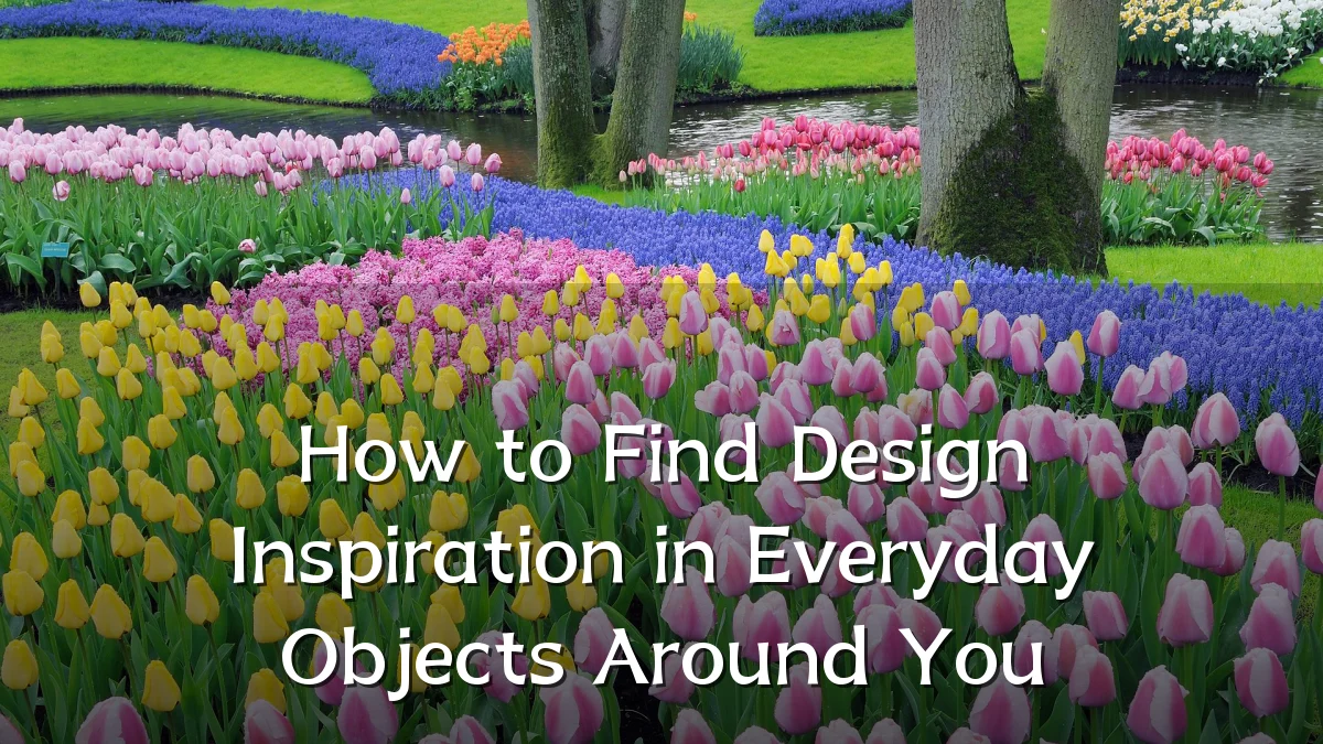 How to Find Design Inspiration in Everyday Objects Around You