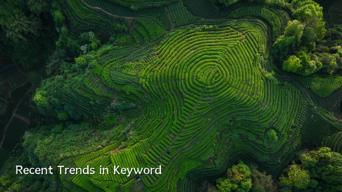 Recent Trends in Keyword