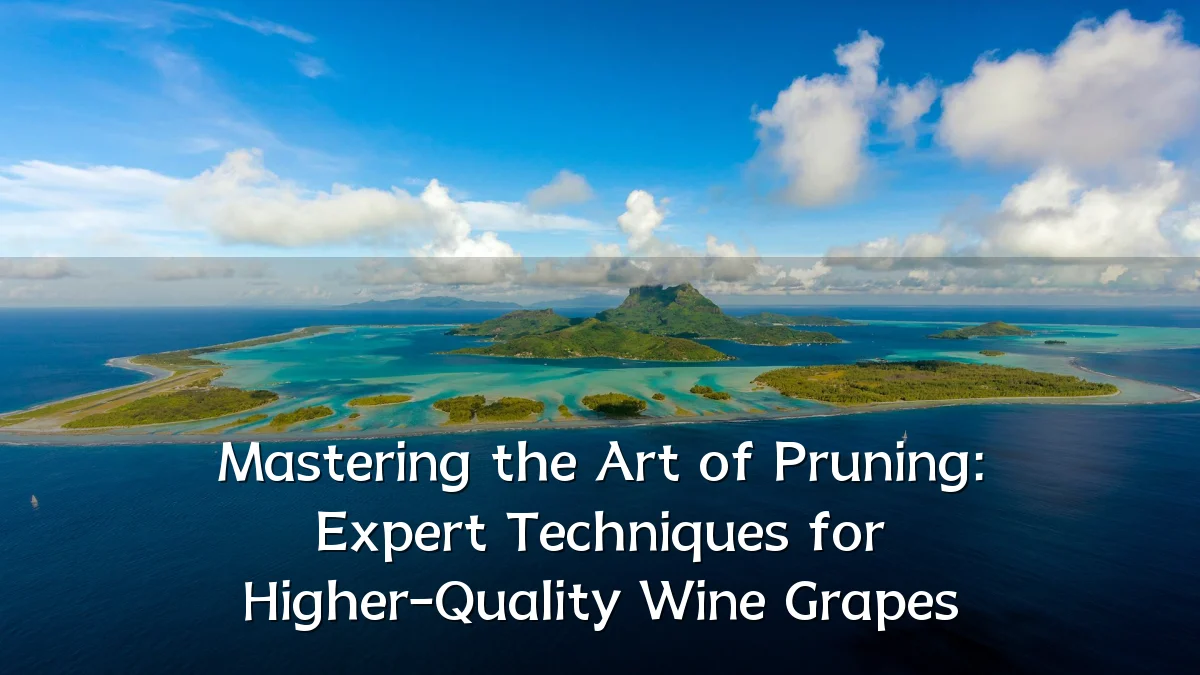 Mastering the Art of Pruning: Expert Techniques for Higher-Quality Wine Grapes