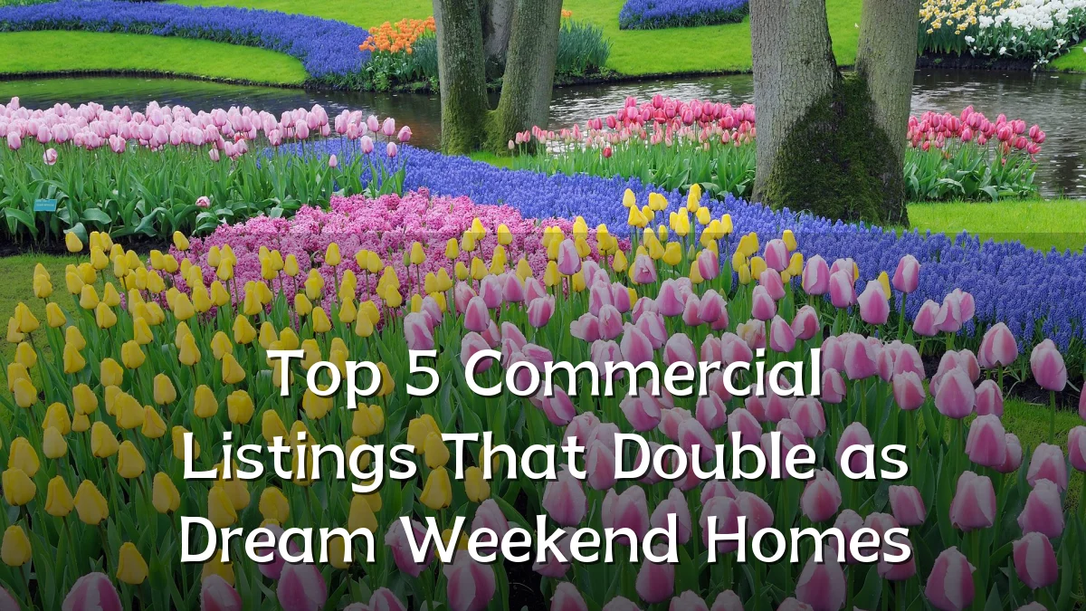 Top 5 Commercial Listings That Double as Dream Weekend Homes