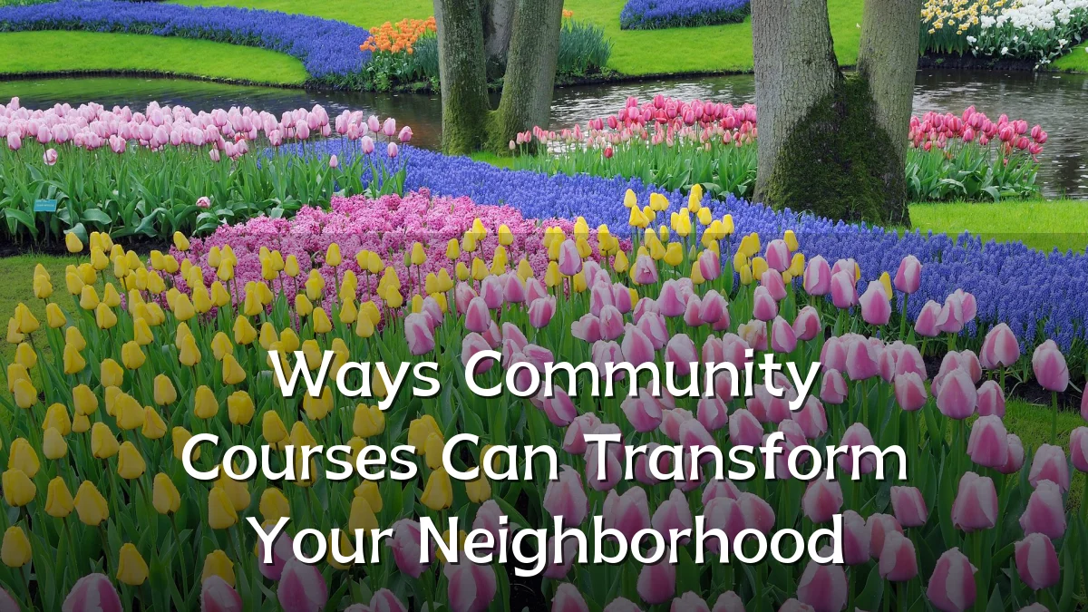 Ways Community Courses Can Transform Your Neighborhood