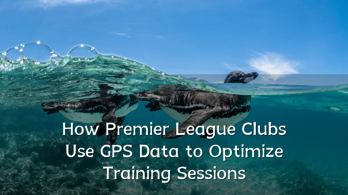 How Premier League Clubs Use GPS Data to Optimize Training Sessions