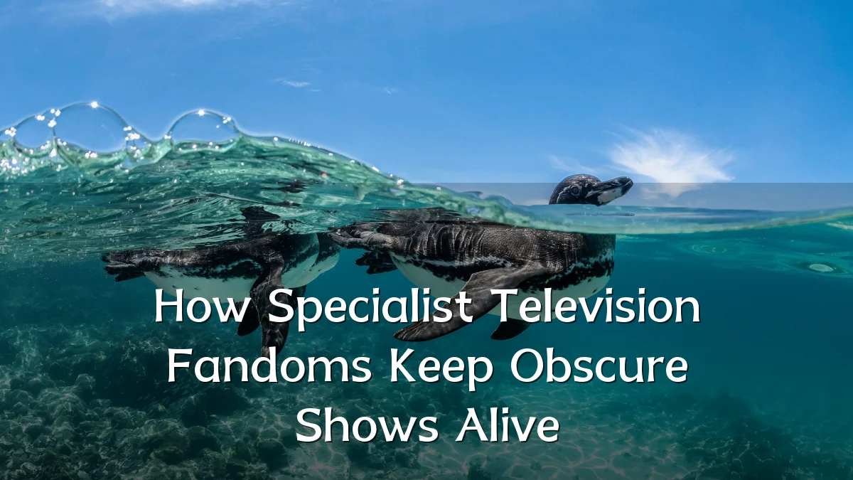 How Specialist Television Fandoms Keep Obscure Shows Alive
