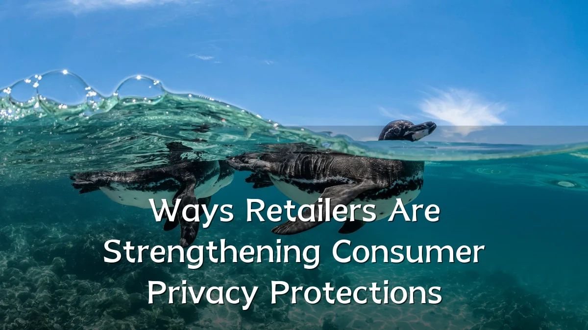 Ways Retailers Are Strengthening Consumer Privacy Protections
