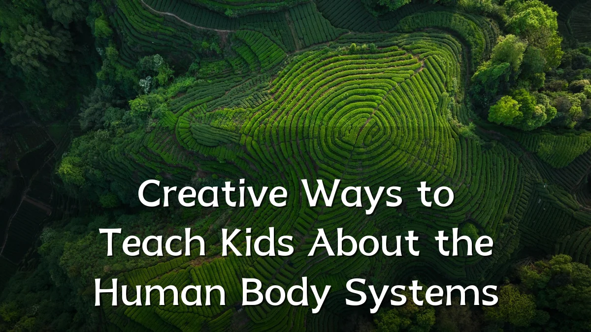 Creative Ways to Teach Kids About the Human Body Systems