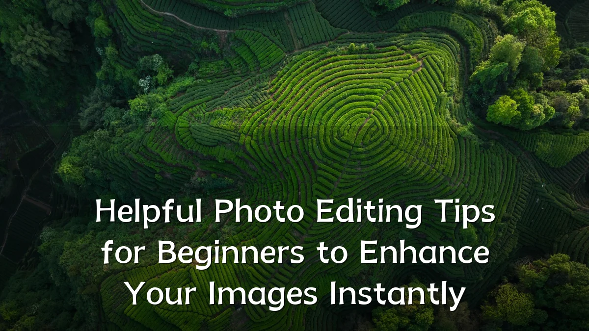 Helpful Photo Editing Tips for Beginners to Enhance Your Images Instantly
