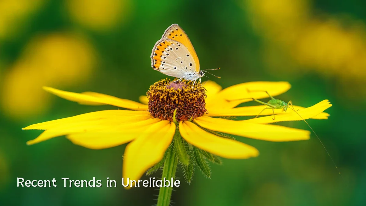 Recent Trends in Unreliable