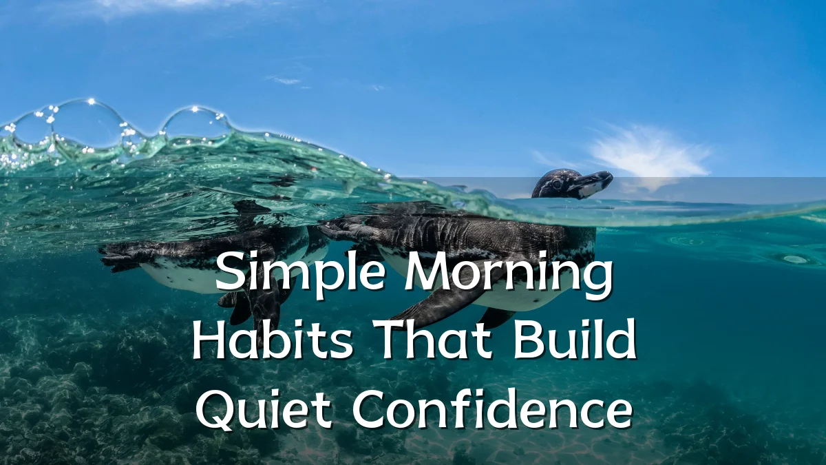 Simple Morning Habits That Build Quiet Confidence