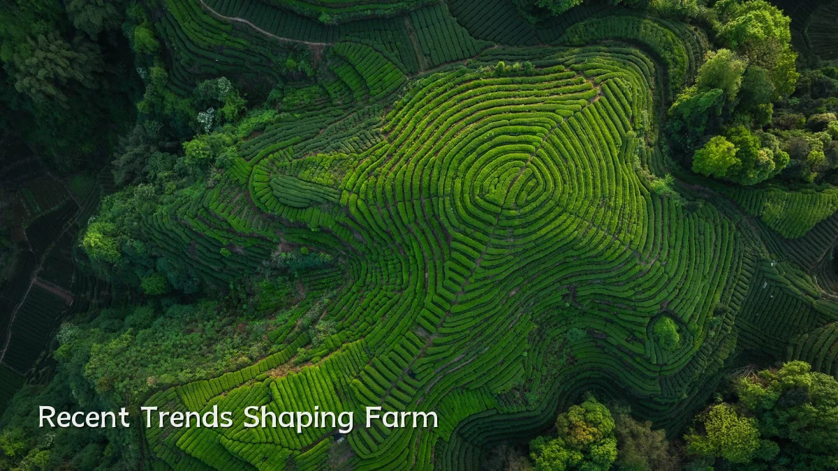 Recent Trends Shaping Farm