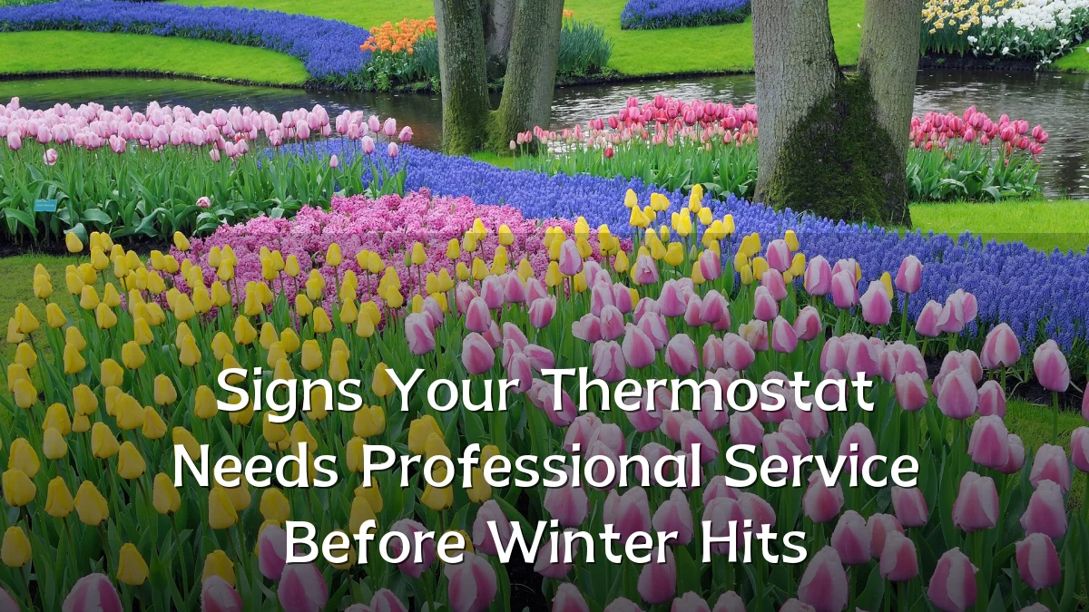 Signs Your Thermostat Needs Professional Service Before Winter Hits