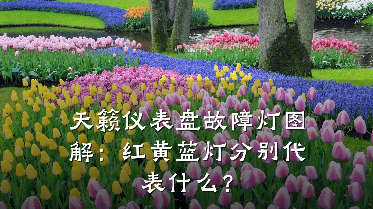 天籁仪表盘故障灯图解:红黄蓝灯分别代表什么?
