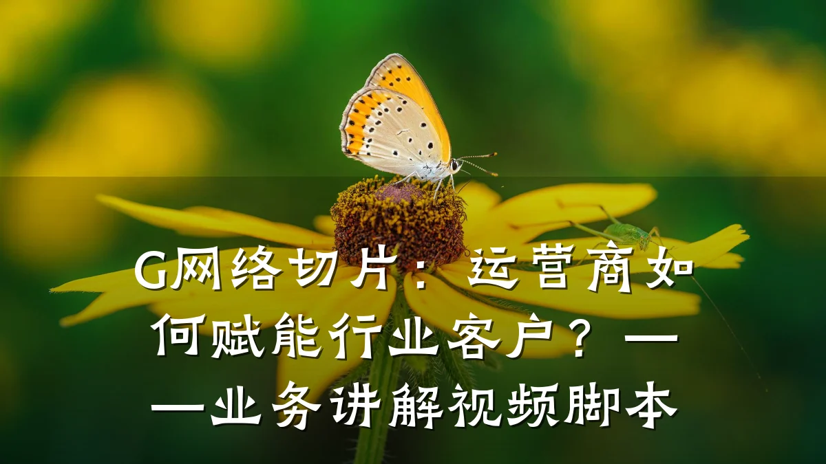 G网络切片：运营商如何赋能行业客户？——业务讲解视频脚本
