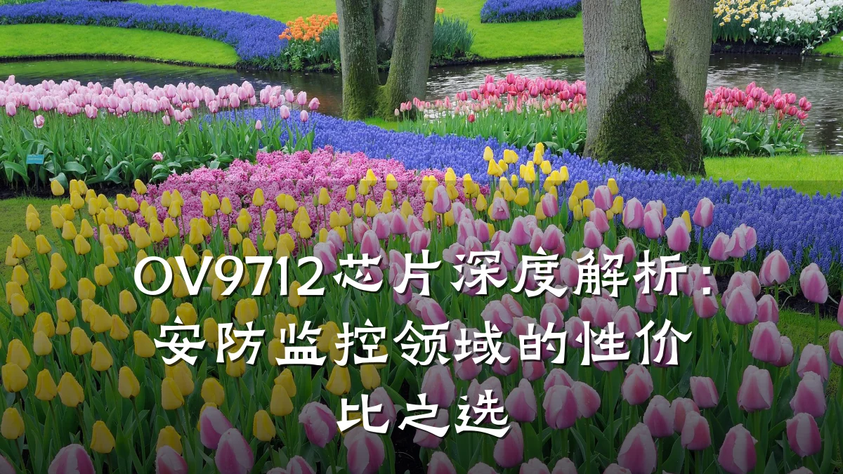 OV9712芯片深度解析：安防监控领域的性价比之选