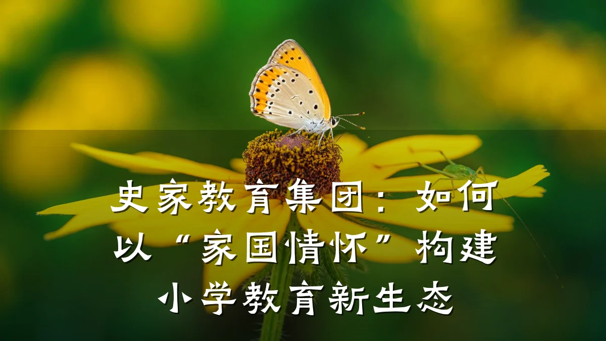 史家教育集团：如何以“家国情怀”构建小学教育新生态
