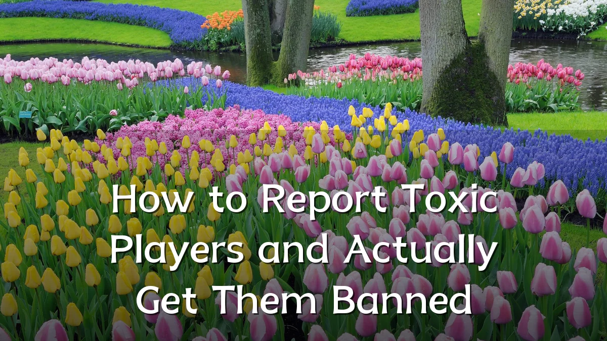 How to Report Toxic Players and Actually Get Them Banned