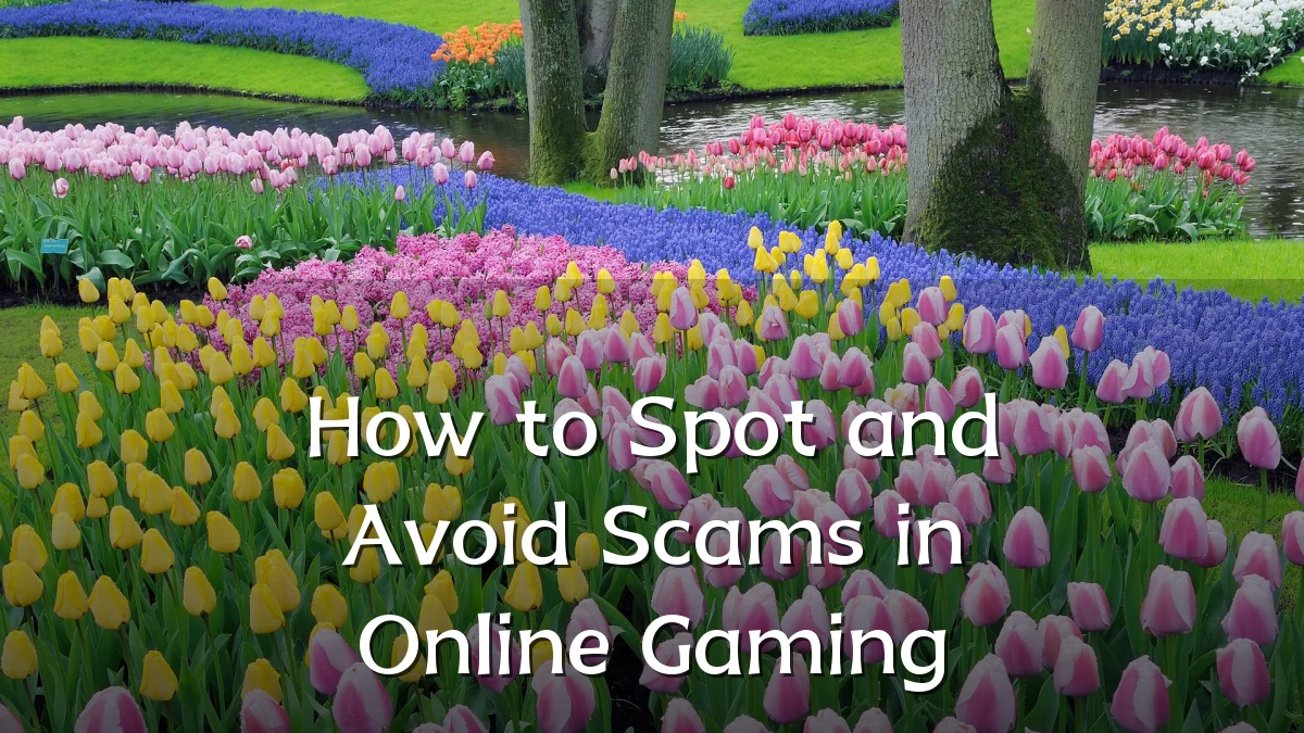 How to Spot and Avoid Scams in Online Gaming