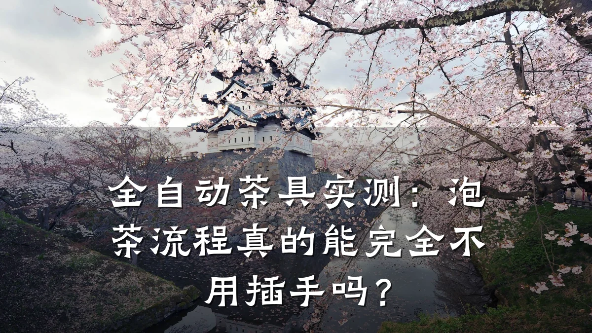 全自动茶具实测:泡茶流程真的能完全不用插手吗?